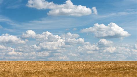 Businesswetter München: Samstag heiter und wolkig .